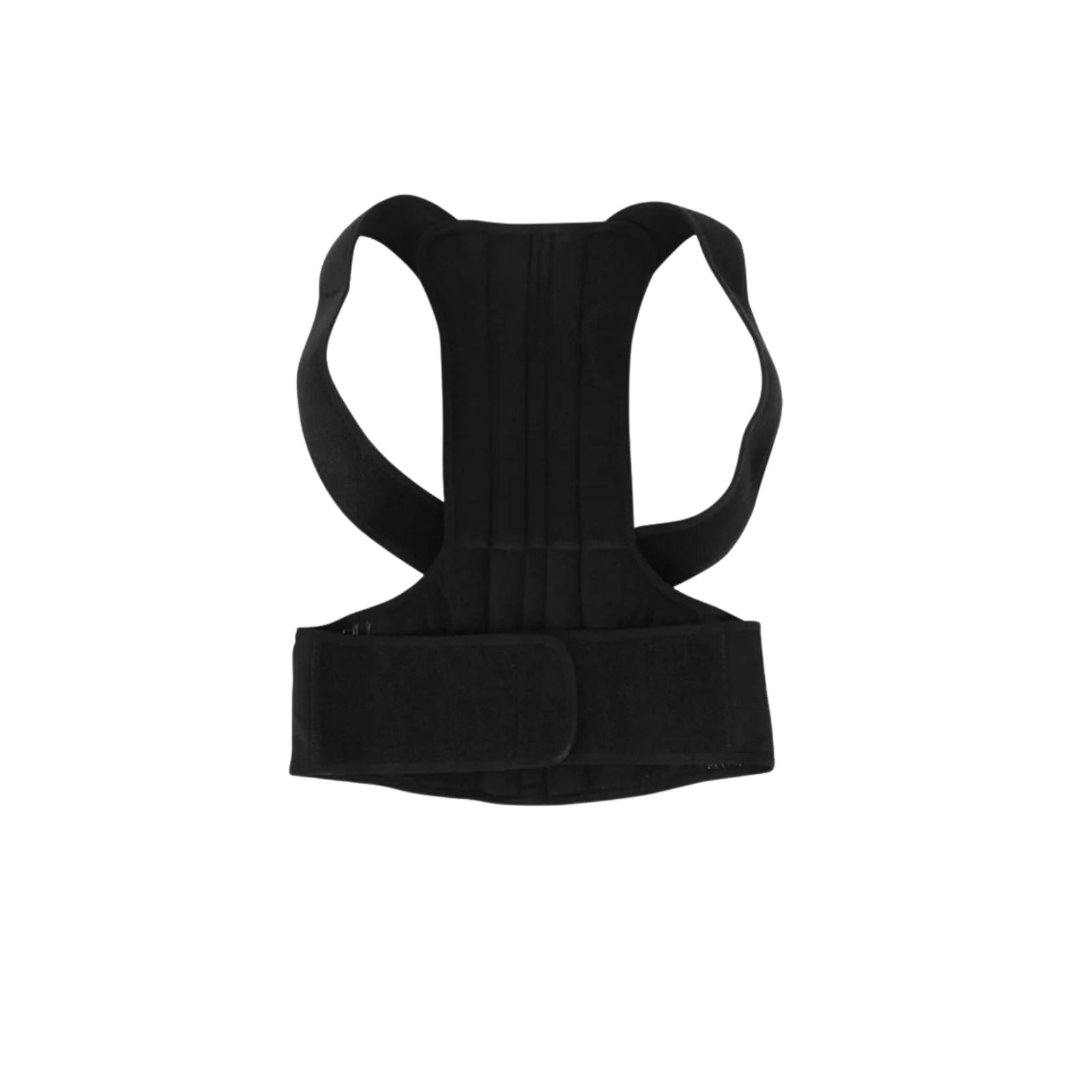 Back support belt